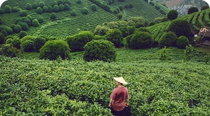 Animi eos veniam autem