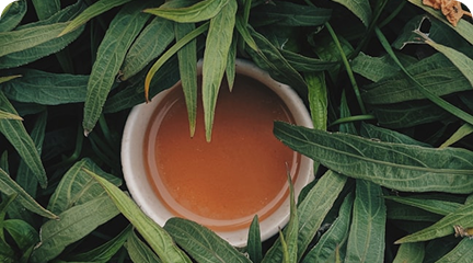 Quaerat quia non ut sunt Quaerat quia non ut sunt