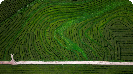 Deserunt eaque quia possimus