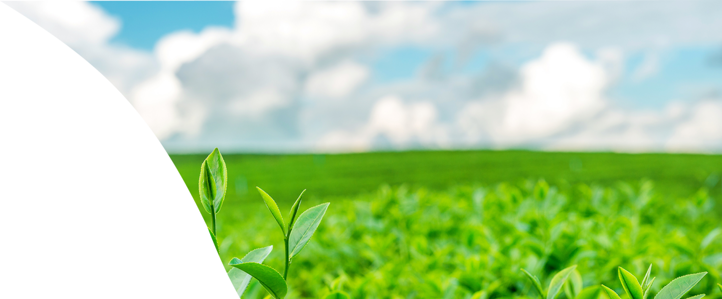 Детальніше